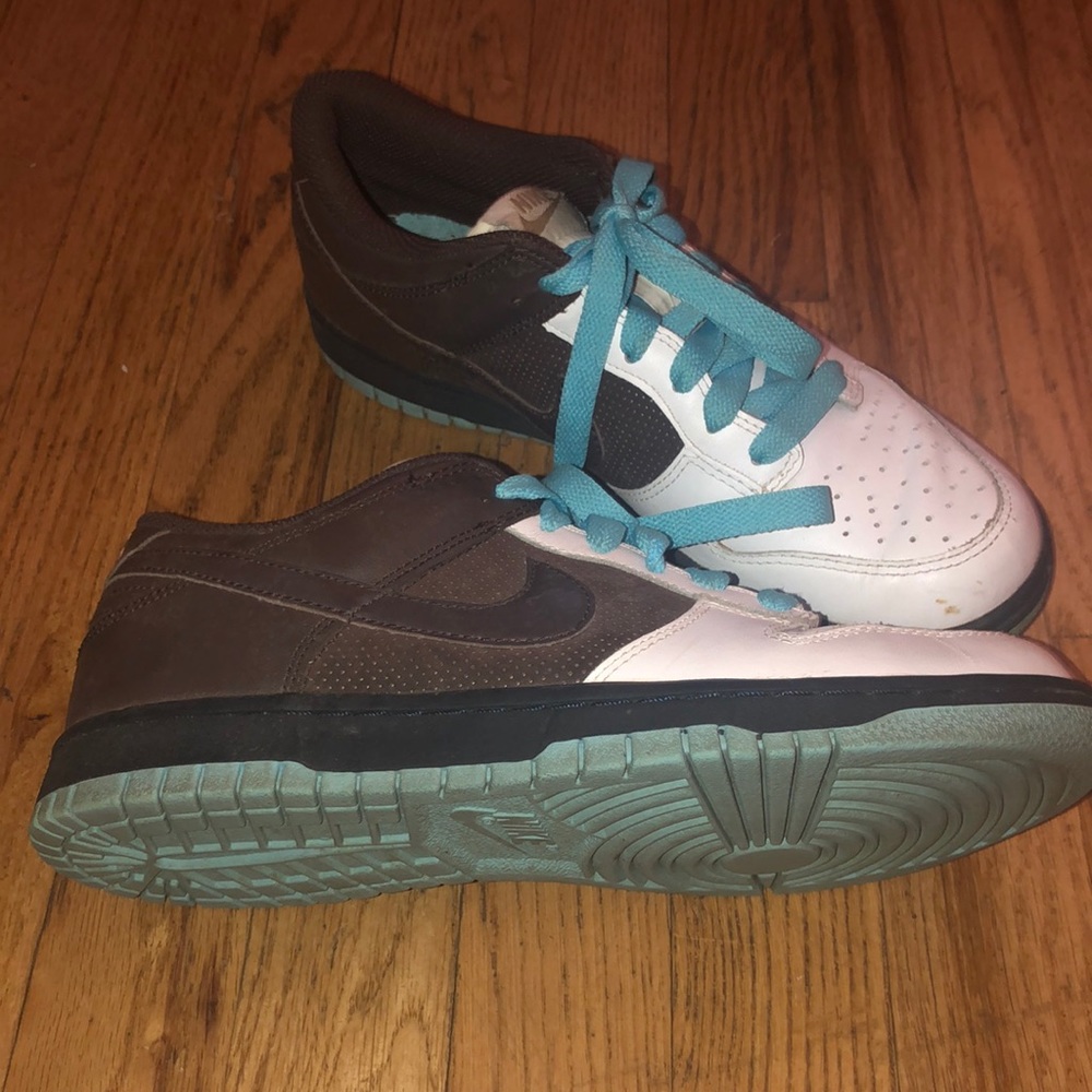 NIKE Teal Brown Low Tops 7Youth 8.5Womens 7Mens